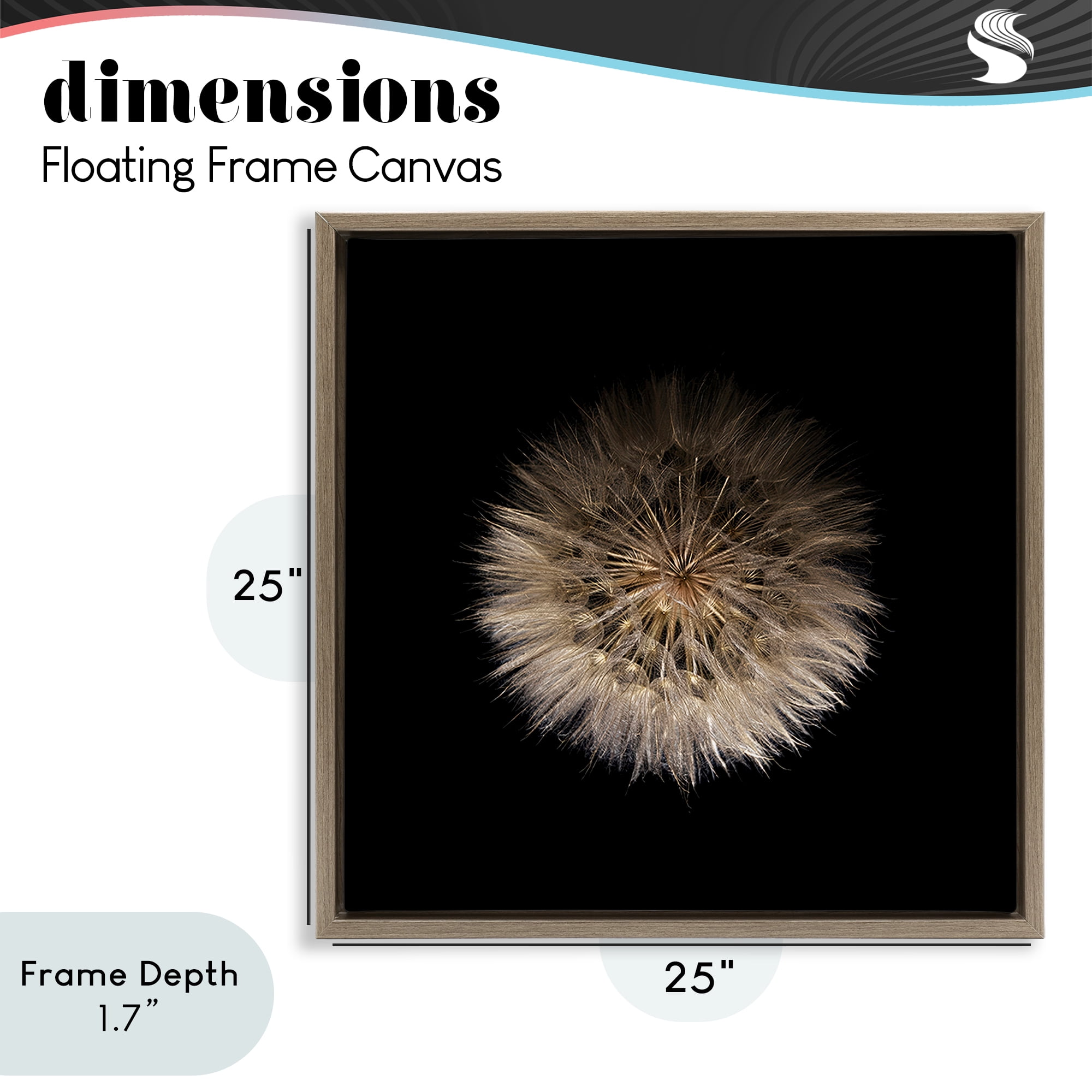 Stupell Industries Wispy Dandelion on Black Brown Framed Floater Canvas Wall Art, design by Beth Adoette