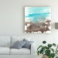 thumbnail image 3 of Trademark Fine Art 'Umber Lands I' Canvas Art by Jennifer Goldberger, 3 of 3
