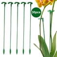 thumbnail image 1 of (Combinado A+A) Varilla Soporte para Puesto Flores Phalaenopsis Y Chlorophytum Marco Soporte Anticaída para Flores Y Plantas (37 Cm) 37 Cm Juego 30 Piezas, 1 of 9