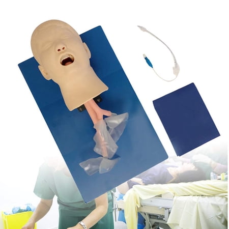 DENEST Intubation Manikin Teaching Child Model Airway Management Lab PVC price history on PriceWatchPro