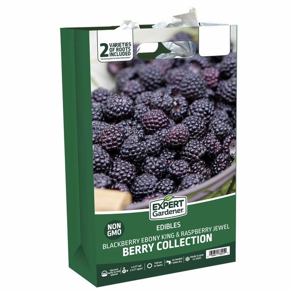 Expert Gardener Blackberry-Raspberry Collection (Set of 2 Dormant Bare Roots) Full Sun, Multi-Color, Perennial
