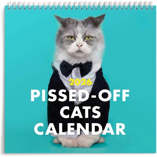 Calendario Gatos 12 Meses Anual Angry Cat 2026 para Entusiastas Los (F)
