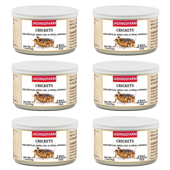 Grillos enlatados JADINGSFARM para reptiles, peces y aves 210 ml x6
