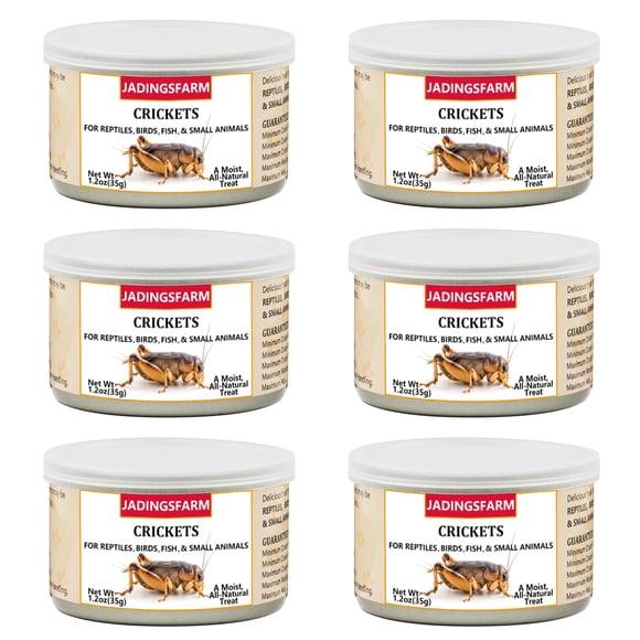 Grillos enlatados JADINGSFARM para reptiles, peces y aves 210 ml x6