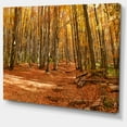 thumbnail image 2 of Colorful Fall Forest with Fallen Leaves - Modern Forest Canvas Art, 2 of 4