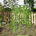 thumbnail image 2 of Costway Cucumber Trellis for Plant Climbing Foldable Garden Tunnel Trellis with Plastic Coated Tube, 2 of 10
