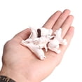 thumbnail image 5 of Qiysamall All White Arctic Figurines Toys Bear Educational Preschool for Kids 6pcs, 5 of 10