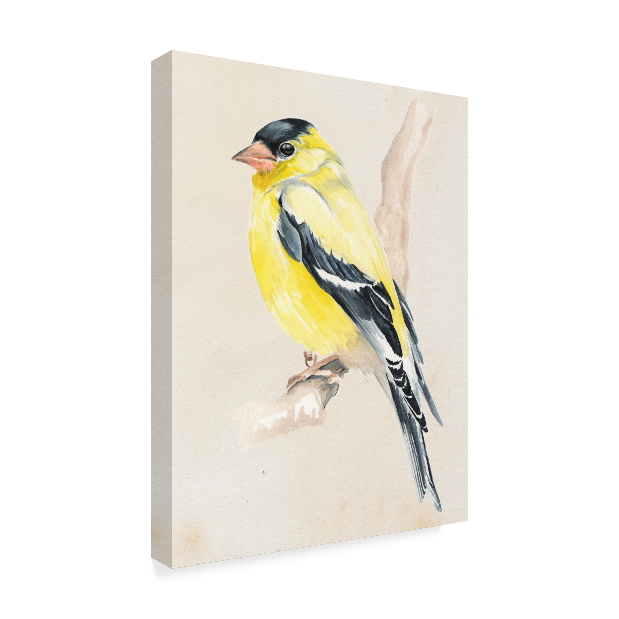 Trademark Fine Art 'Little Bird on Branch III' Canvas Art by Jennifer Paxton Parker