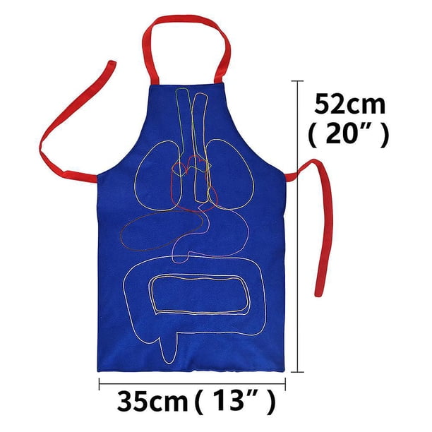 Delantal de anatomía de cocina, herramienta educativa de órganos del cuerpo humano, ayuda para enseñanza precolar, vtido de salón de uñas, delantal para hombr y mujer - AliExprs 15