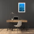thumbnail image 3 of Shimlock, Jones 23x32 White Modern Wood Framed Museum Art Print Titled - Solomon Islands, Meri Island Giant trevally fish, 3 of 4