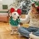 thumbnail image 4 of Sombrero verde de Papá Noel para mascotas, gorro navideño, gorro de reno para cachorro, gorro ajustable para árbol de Navidad, diadema para perro, bonitos accesorios para cabeza de perro pequeño., 4 of 5