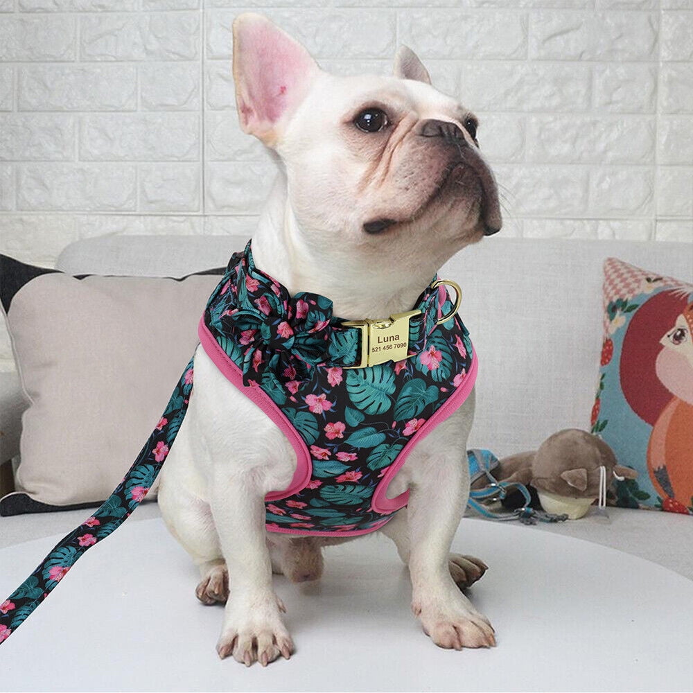 Pet Artist 3pcs Floral Nylon Dog Harness Vest and Leash and Collar set Custom Personalized for Pets