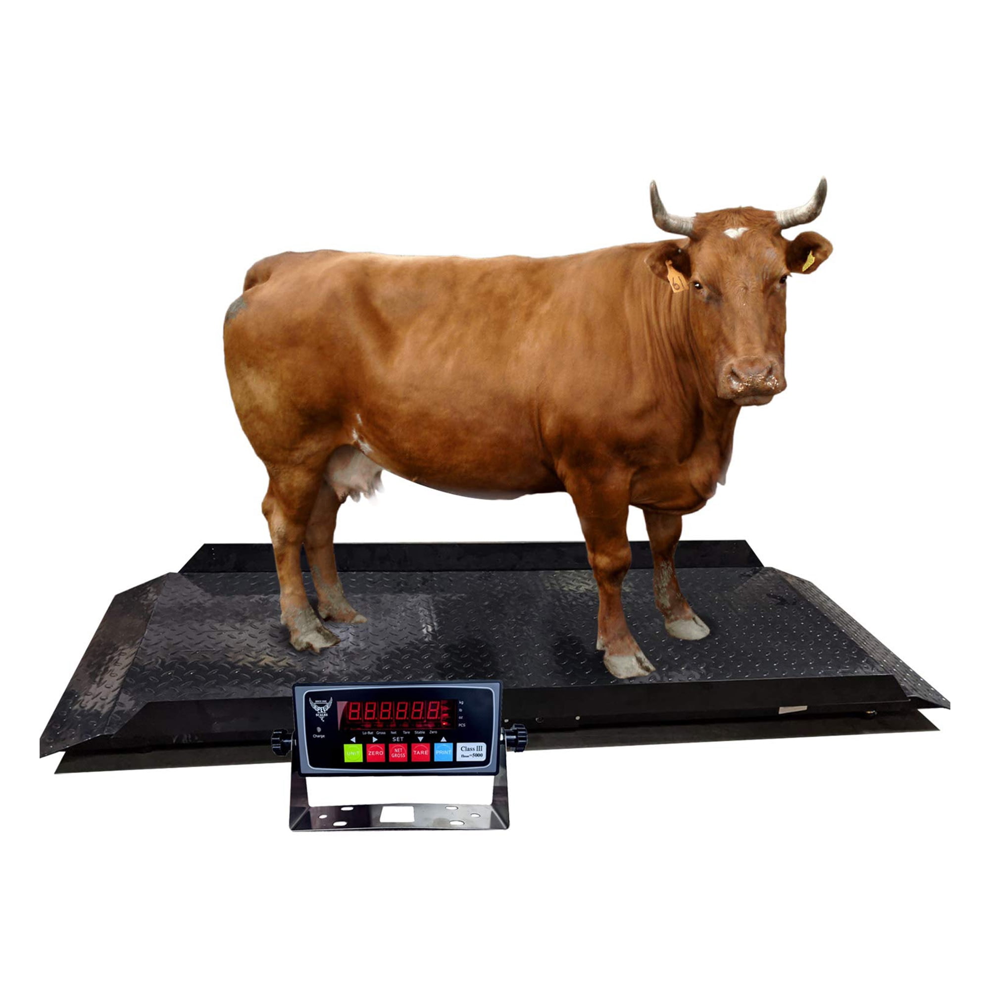 PEC Scales 700lbs Vet Animal Scale/Farm Livestock Scale, 42″ x 20″ for