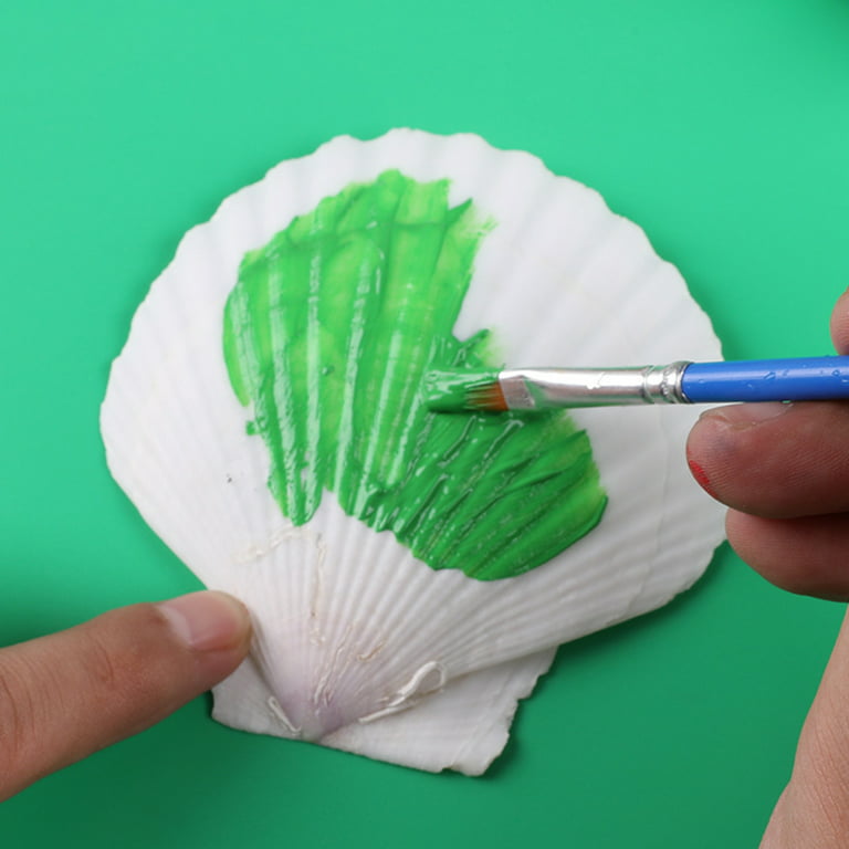 Shell Painting Kit Crafts For Kids Ages 4-8 Kids Crafts For Girls