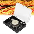 thumbnail image 5 of Texturing Matt Brush Wire Brush, Jewelry Making Tool Practical, Brush Cleaning Brush Kit Soft Jewelr, 5 of 5