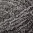 thumbnail image 2 of Premier Yarns 1089-01 Silver Aspen Yarn, 2 of 2