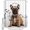 Doginn9951, variant on American Flag 4th of July Shower Curtain for Bathroom with Hooks 66x72 Inches Polyester Fabric Shower Curtain Sets Washable Bath Curtains Decor Independence Day Star