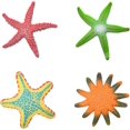 thumbnail image 1 of Ensemble de 4 Jouets de Plongée Modèle Étoile de Mer Jouet Coloré Ensemble de Jouets de Piscine (Style 2), 1 of 5