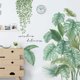 thumbnail image 3 of Vinilos Decorativos Hojas, Vinilos Decorativos Plantas Verdes, Vinilos Decorativos Plantas Hojas Verdes Tropicales, Vinilos Decorativos Hojas Grandes Vinilos Decorativos, para Dormitorio, Salón, Come TUNC Sencillez, 3 of 5