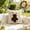 C, variant on Sktrjpolfis Easter Rabbits Embroidery Throw Pillow Cover for Household Sofa Living Room Bedding