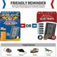 thumbnail image 2 of CRESTIN- Lulucatch Mouse & Insect Traps 12 Pack, Heavier Sticky Traps With Non-Toxic Glue, 2 of 5