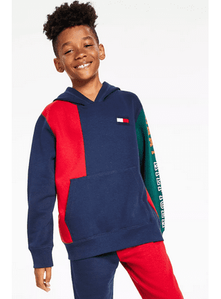 Boys tommy hilfiger clearance hoodies