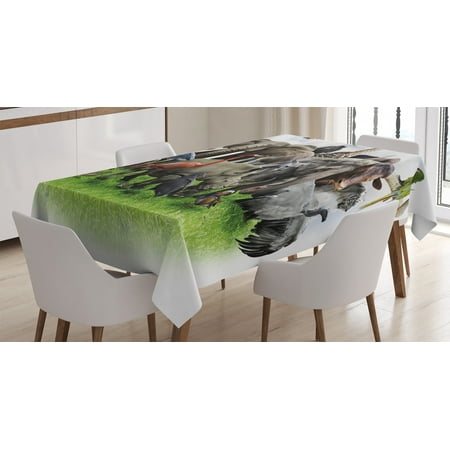 

Wildlife Decor Tablecloth Digital Collage of Wild Animals with African Safari Animals Zoo Print Artwork Rectangular Table Cover for Dining Room Kitchen 60 X 84 Inches Multi by Ambesonne