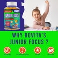 thumbnail image 6 of ROVita Focus Kids Omega 3 Gummies with DHA - Brain Support & Focus Supplement - Fish Oil Omega-3 for Children - Memory & Cognitive Support - Kids Multivitamin Gummies - 60 Gummies, 6 of 9