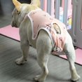 thumbnail image 4 of Pantalones fisiológicos unisex para mascotas, ropa interior para perros, pañales para cachorros, bragas sanitarias para mujeres, pantalones cortos para bulldog y pug, 4 of 5