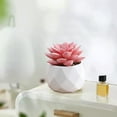 thumbnail image 6 of PRETXORVE Home Decor, Room Decor, Mini Artificial Plants in Plastic Pots for indoor office Fake Plants Female office Home Decoration Gift Simulation Plants, 6 of 6