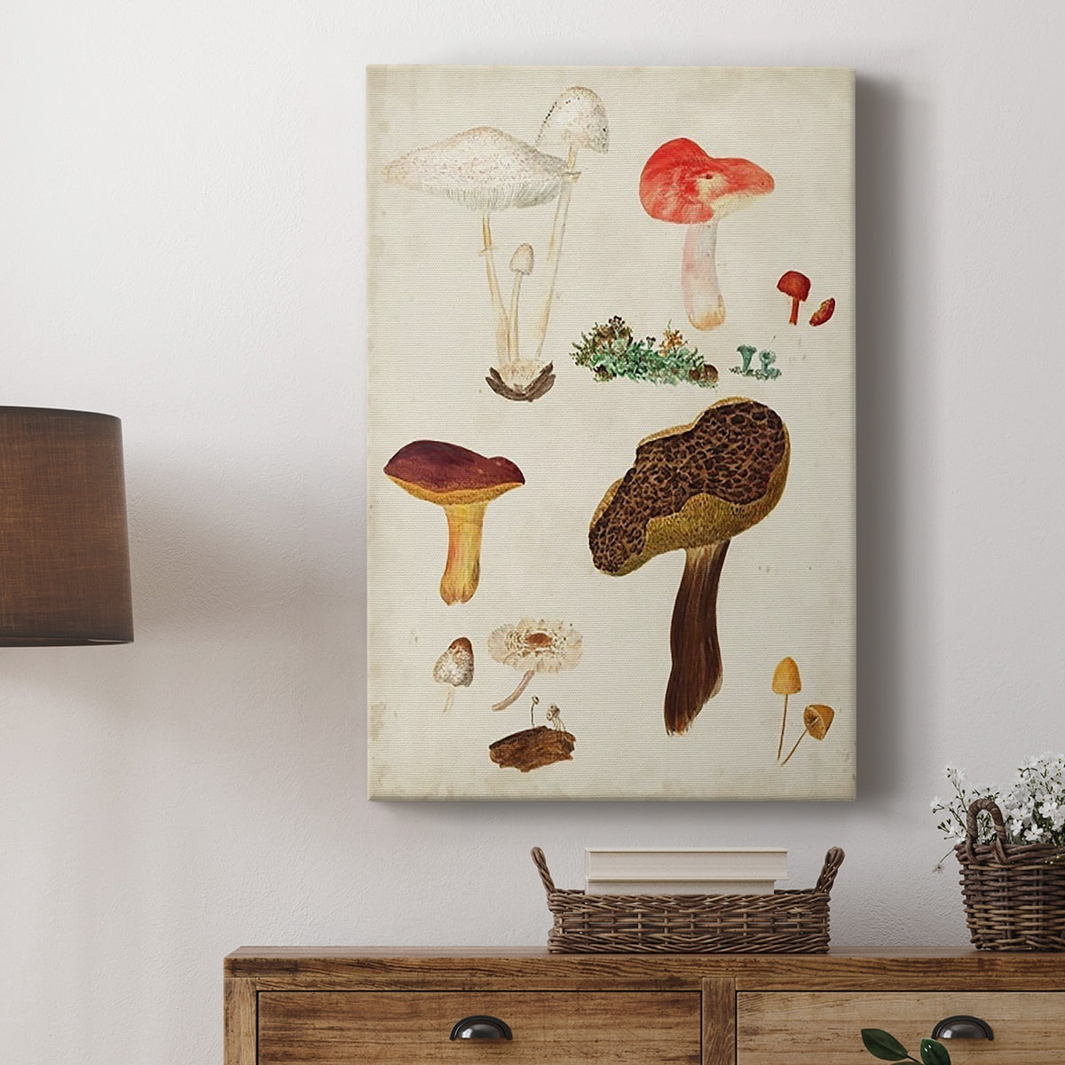 Mushroom Species XI Premium Gallery Wrapped Canvas - Ready to Hang