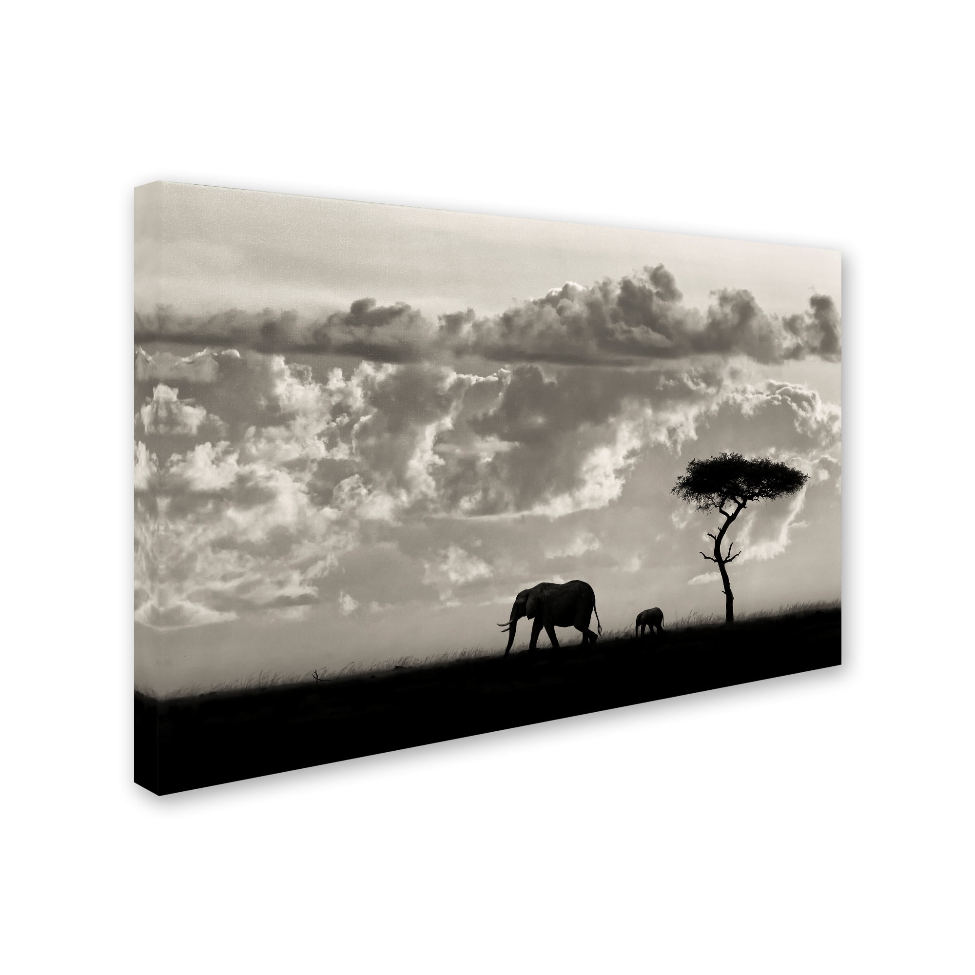 Trademark Fine Art 'Silhouettes Of Mara' Canvas Art by Mario Moreno