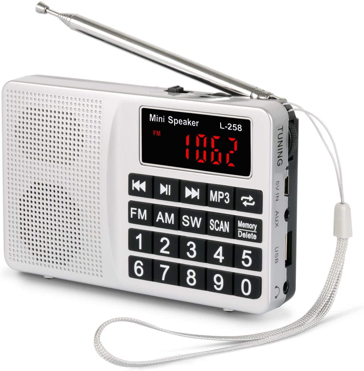 PRUNUS AM FM Digital Radio Portable Battery Operated Radio with Bass