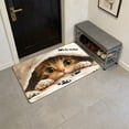 thumbnail image 5 of Cute Cat Floor Mat Non-Slip Absorbent Waterproof Indoor Outdoor Rug for Bedroom Porch Hallway Dorm Home Decoration Pet Lovers Housewarming Gift, 5 of 6