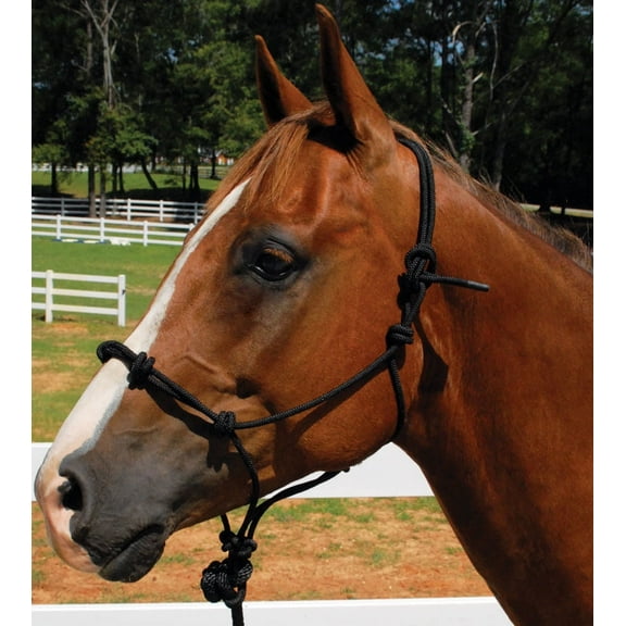 Mustang Knotted Rope Training Halter Black