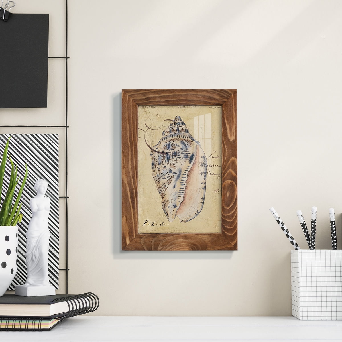 Seashell Ephemera I - Framed Print w/glass - Walnut