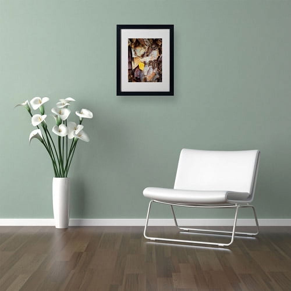 Trademark Fine Art "Birch Leaf" Canvas Art by Kurt Shaffer, Black Frame