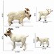 thumbnail image 3 of Set de figuras de animales de granja realistas de cabra y oveja, 4 piezas, 3 of 3