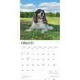 thumbnail image 3 of English Springer Spaniels | 2026 12x24" (Hanging) Wall Calendar | Plastic-Free, 3 of 9