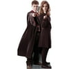 Harry Potter And Hermione Granger Life-Size Cardboard Stand-Up