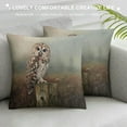 thumbnail image 3 of Orinice Owl Graphic Decorative Throw Pillow Cover for Home Couch Living Room Bed Sofa with Zipper Closure - Printed on Both Sides - 1PC 20x20in, 3 of 5