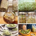 thumbnail image 3 of 4 Pack Stainless Steel Sprouting Jar Lid for Wide and Wide Mouth Mason Jar for Growing Sprouts, 3 of 7