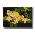 thumbnail image 1 of Epic Graffiti 'Musky Flying Frog' by Barbara Keith, Canvas Wall Art, 26"x18", 1 of 8