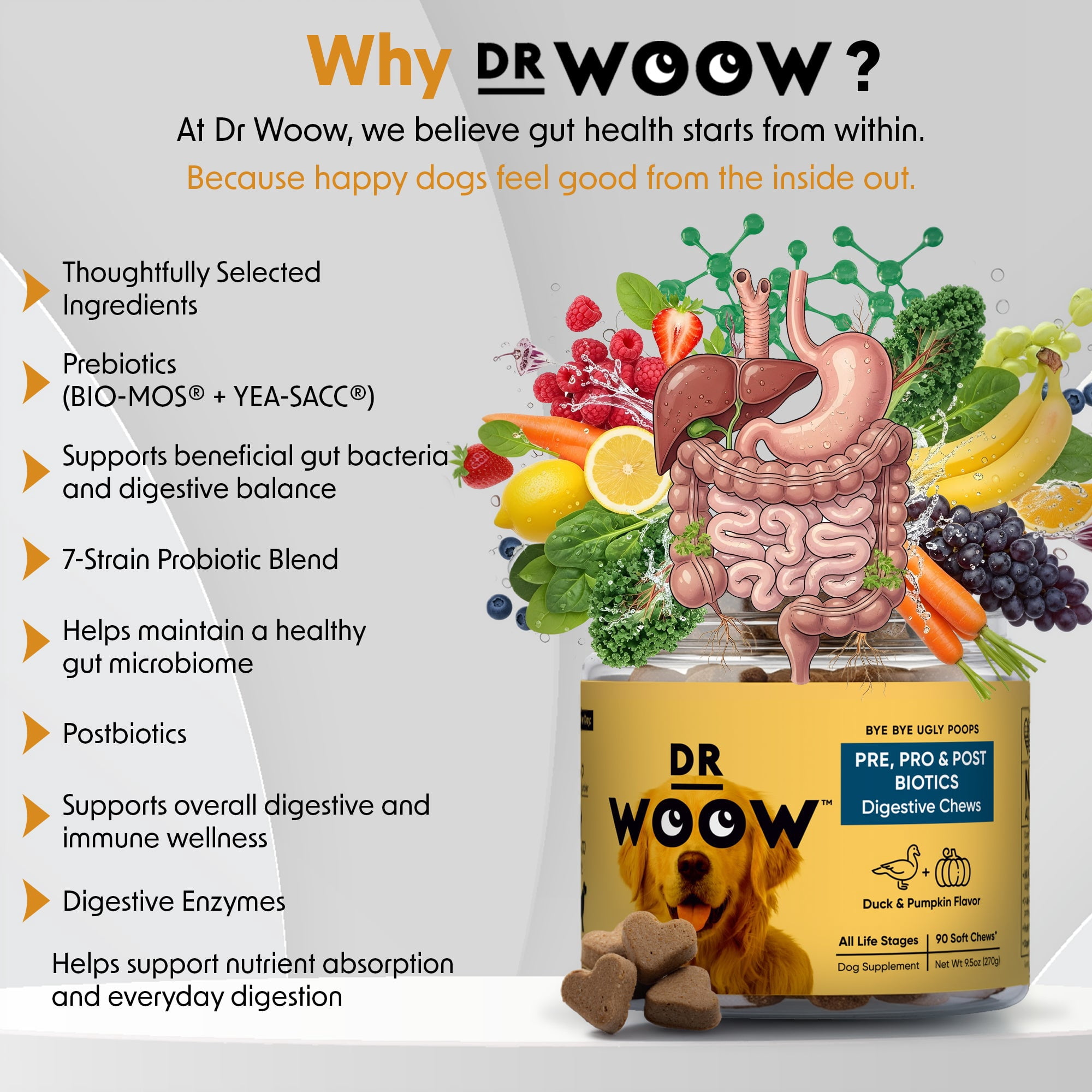 Pre, Pro & Postbiotic Digestive Support Soft Chews