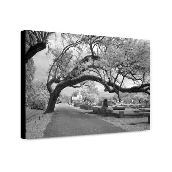 Canvas Print: Magnolia Cemetery, Mobile, Alabama, 2010