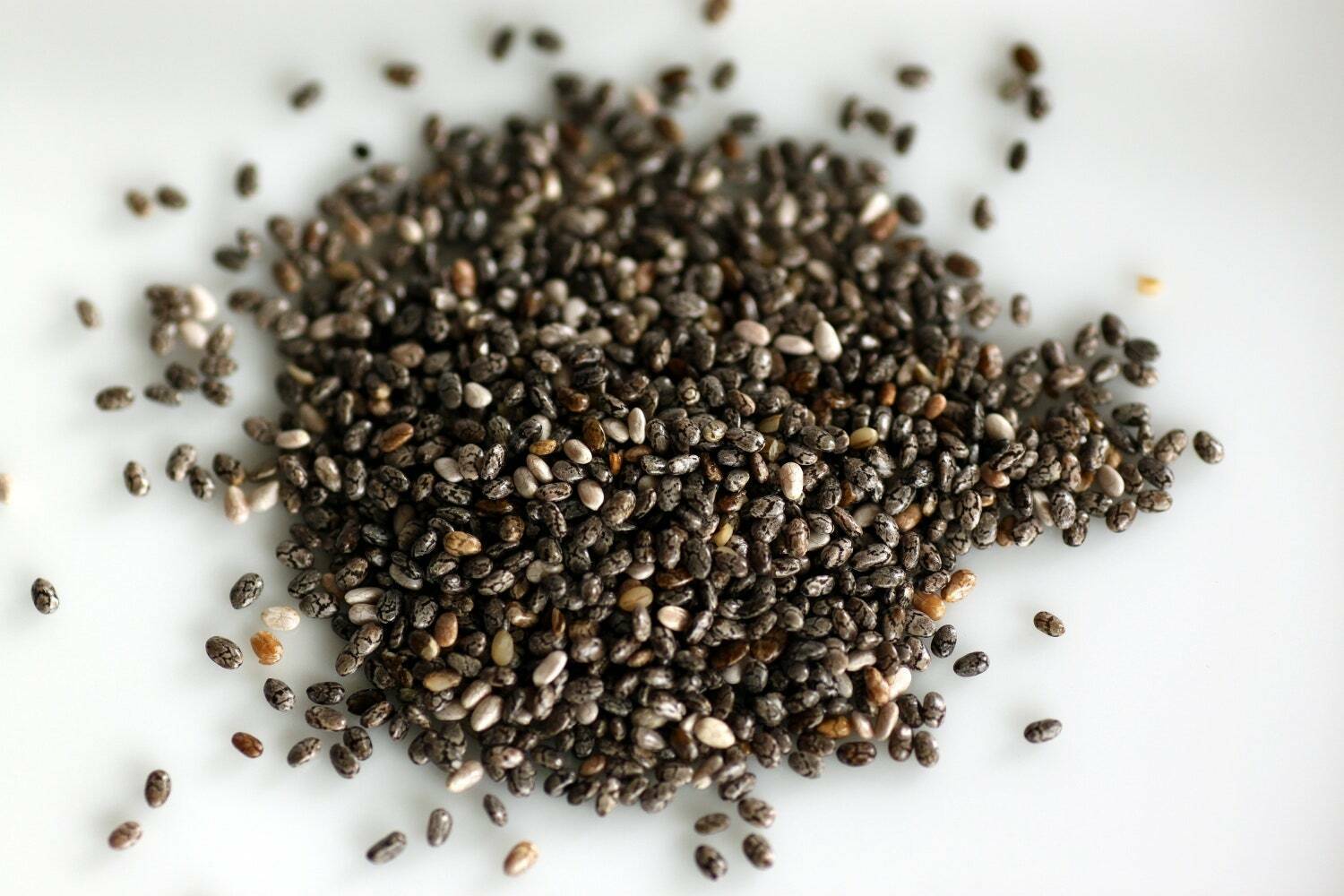 Bulk Chia Seeds 25 Pound Wholesale Box