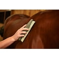 thumbnail image 2 of WAHL CLIPPER CORP Horse Grooming Brush, Soft 858704, 2 of 2