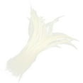 thumbnail image 1 of Maoww Plumes de Queue de Coq Teinture 10 Pcs Blanc, 1 of 5