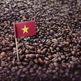 thumbnail image 4 of Premium Kopi Luwak From Indonesia Wild Palm Civets Arabica Coffee Beans (100 Grams), 4 of 10