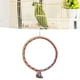 thumbnail image 5 of Juguete De Anillo De Cuerda De Algodón Para Pájaros, Columpio Colorido Para Loros Con Gancho Para Una Fácil Instalación, Seguro, Sin Olor Para Periquitos, Cacatúas, Conures,, 5 of 7